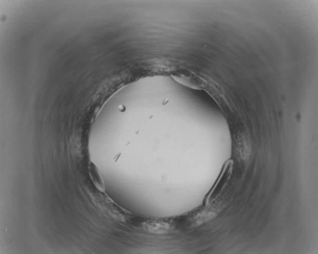 X0000080670512200612301403