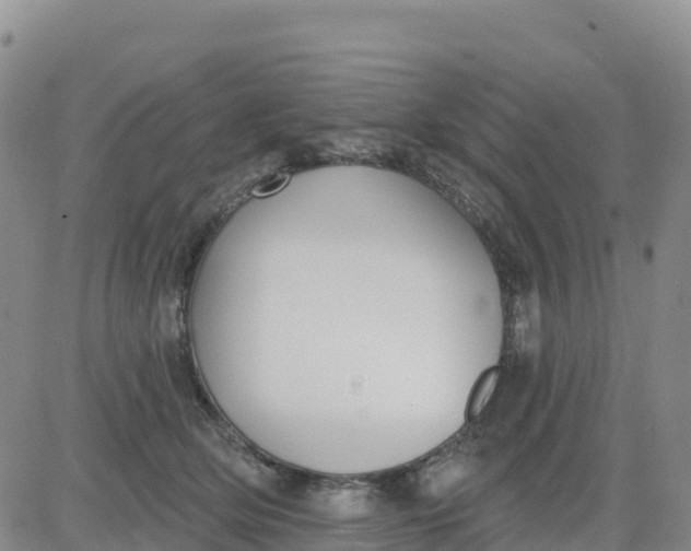 X0000080670514200612301403