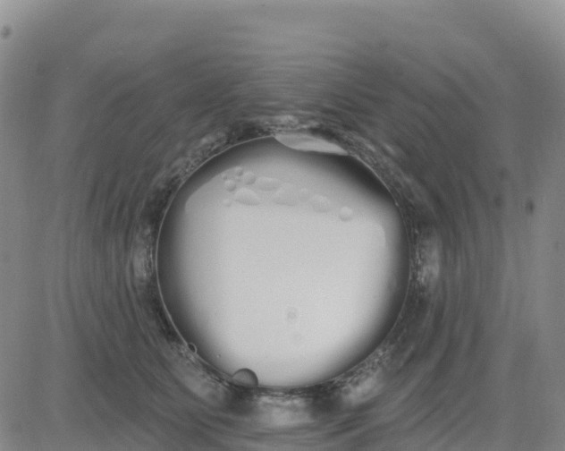 X0000080670515200612301403