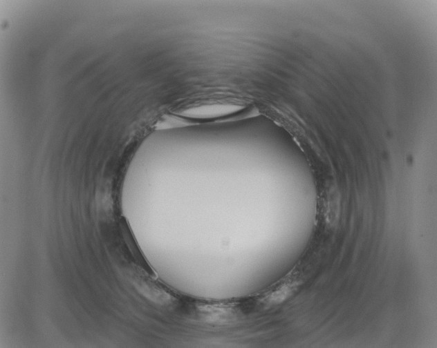 X0000080670516200612301403