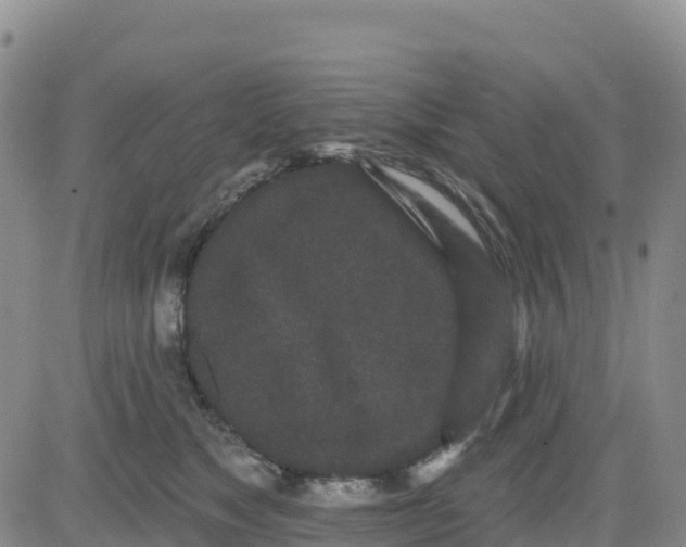 X0000080670517200612301403