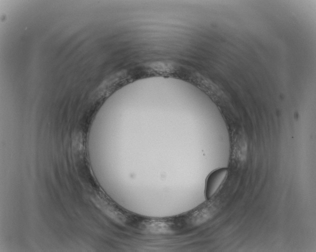 X0000080670518200612301403