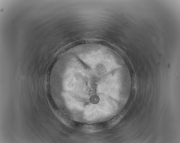 X0000080670519200612301403