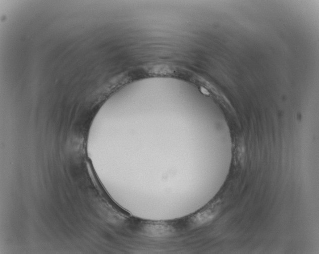 X0000080670521200612301403