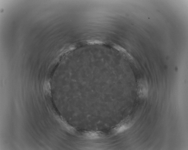 X0000080670523200612301403