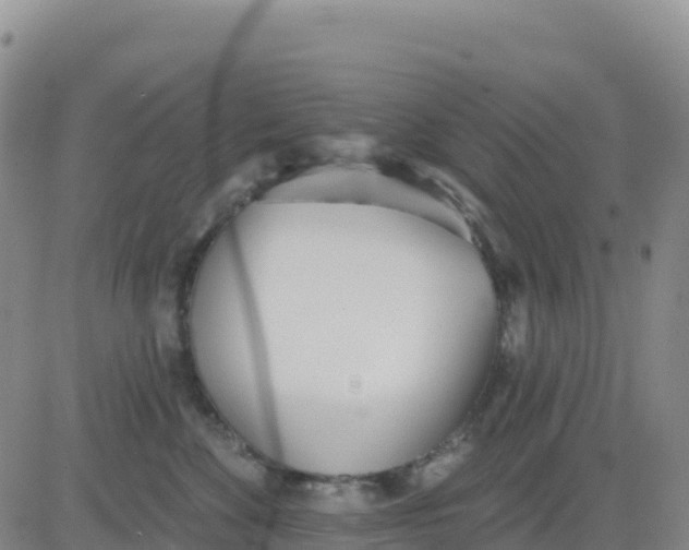 X0000080670524200612301403