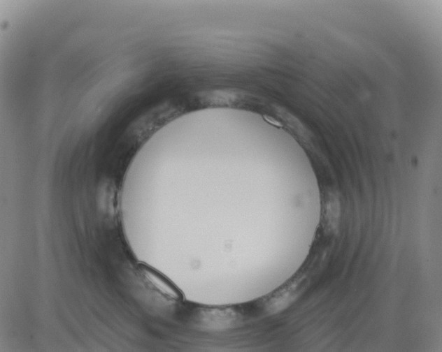 X0000080670525200612301403