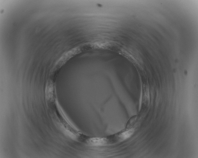 X0000080670526200612301403