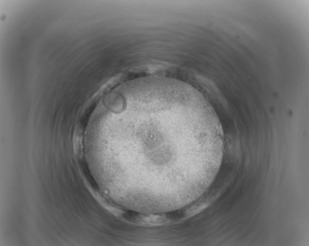 X0000080670527200612301403