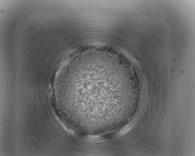 X0000080670528200612301403