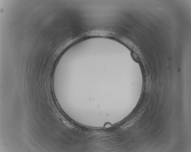 X0000080670529200612301402