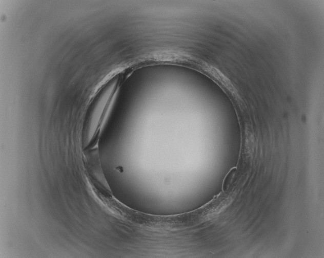 X0000080670530200612301402