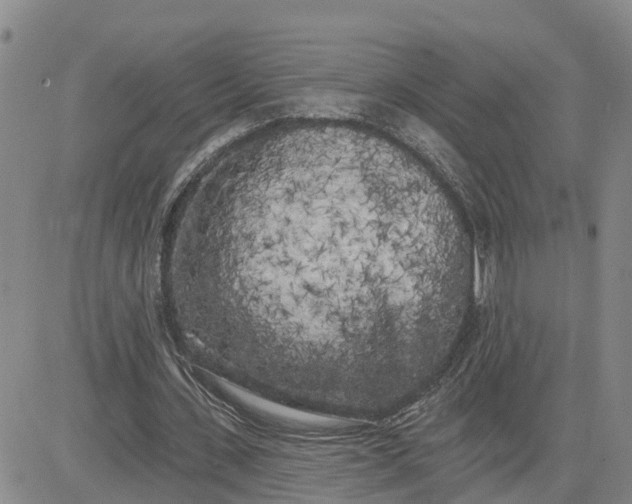 X0000080670531200612301402