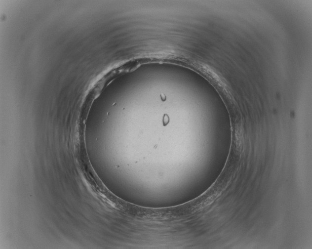 X0000080670532200612301402