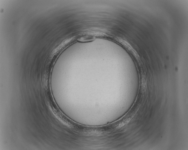 X0000080670533200612301402