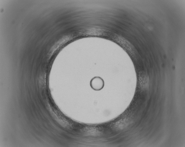 X0000080670534200612301402