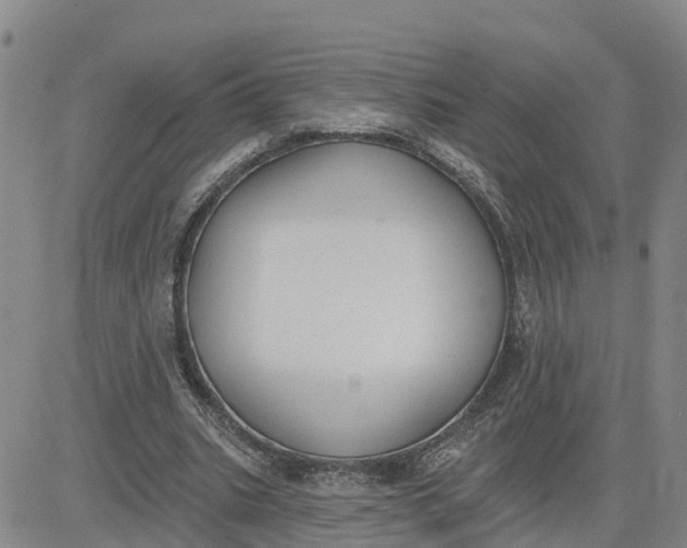 X0000080670535200612301402