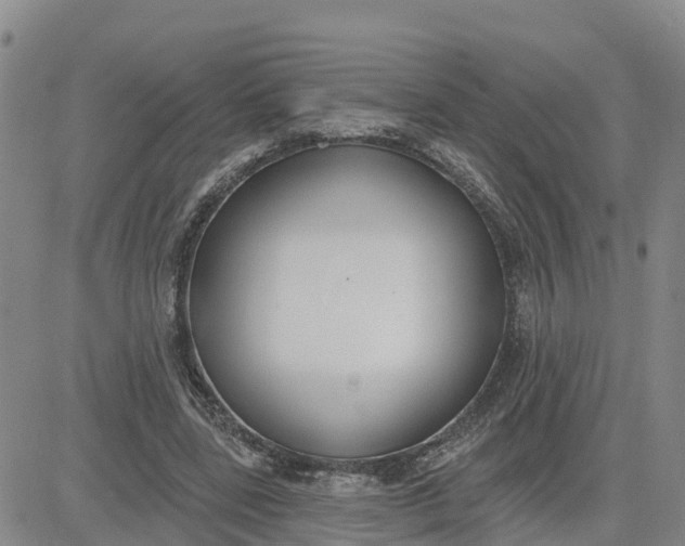 X0000080670539200612301402