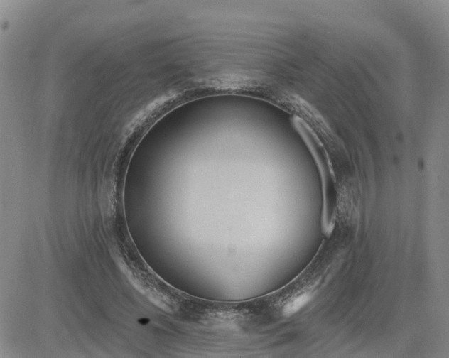 X0000080670540200612301402