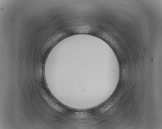 X0000080670541200612301402