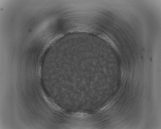 X0000080670542200612301402