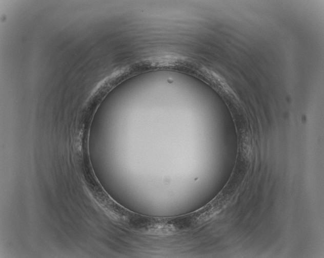 X0000080670543200612301402