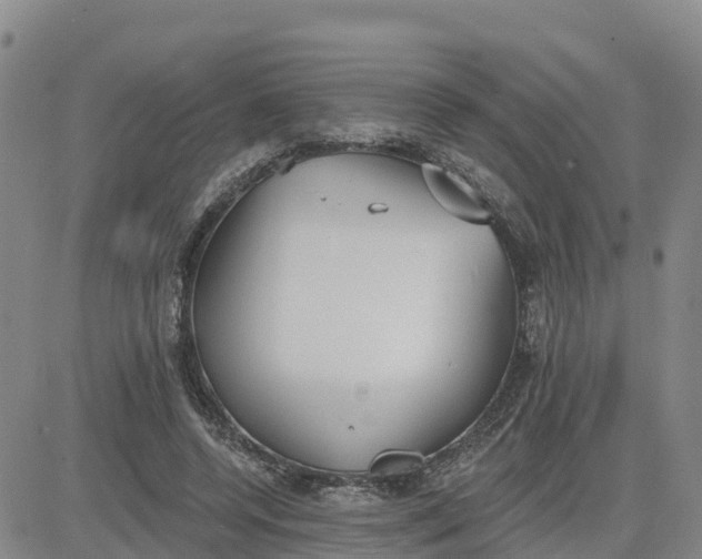 X0000080670544200612301402