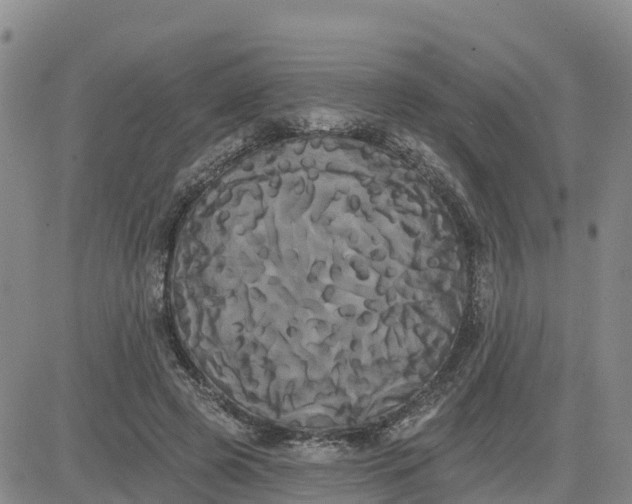 X0000080670545200612301402