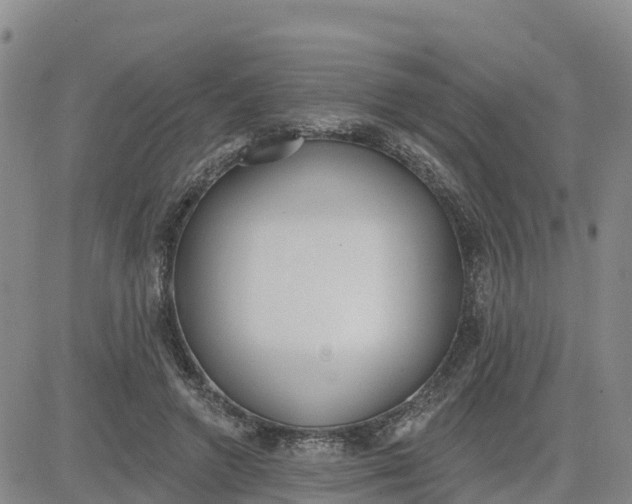 X0000080670546200612301402