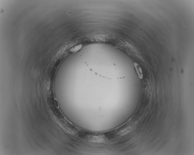 X0000080670548200612301402