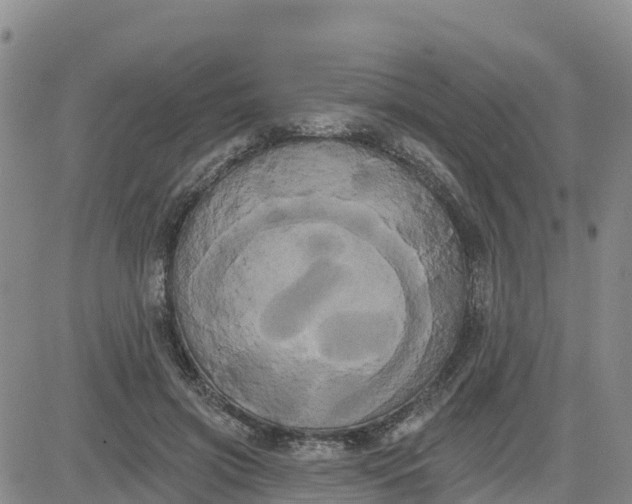 X0000080670549200612301402