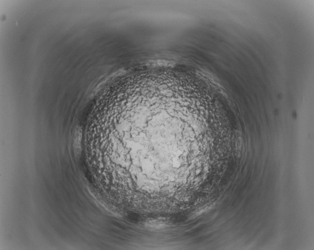 X0000080670550200612301402