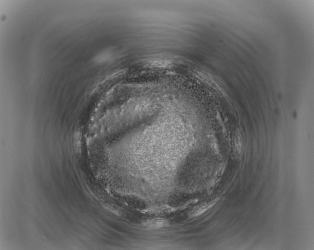 X0000080670551200612301402