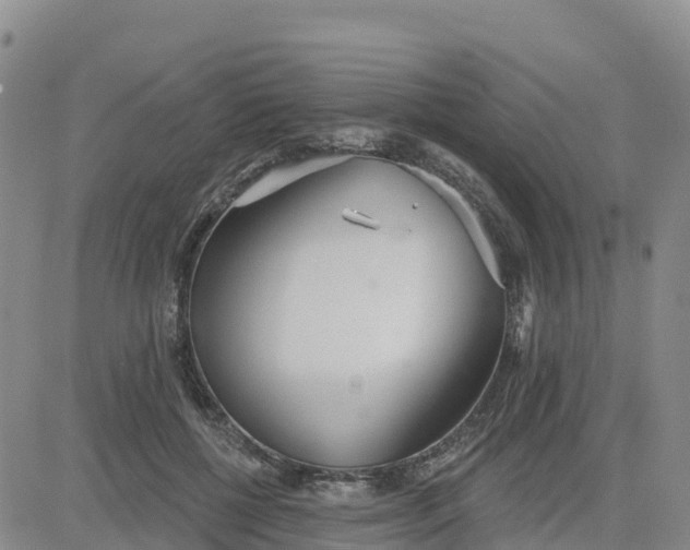 X0000080670552200612301402