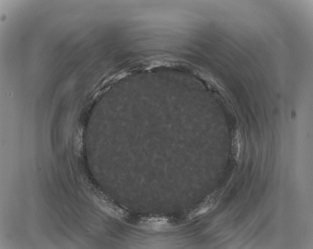 X0000080670554200612301403