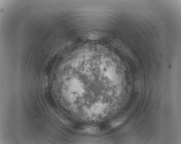 X0000080670555200612301403