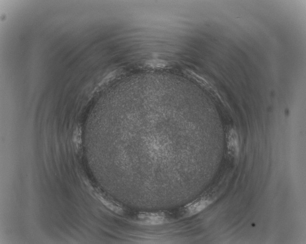 X0000080670559200612301403