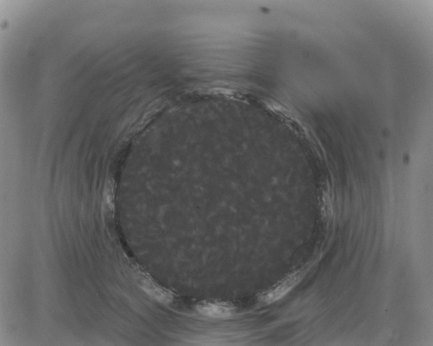 X0000080670561200612301403