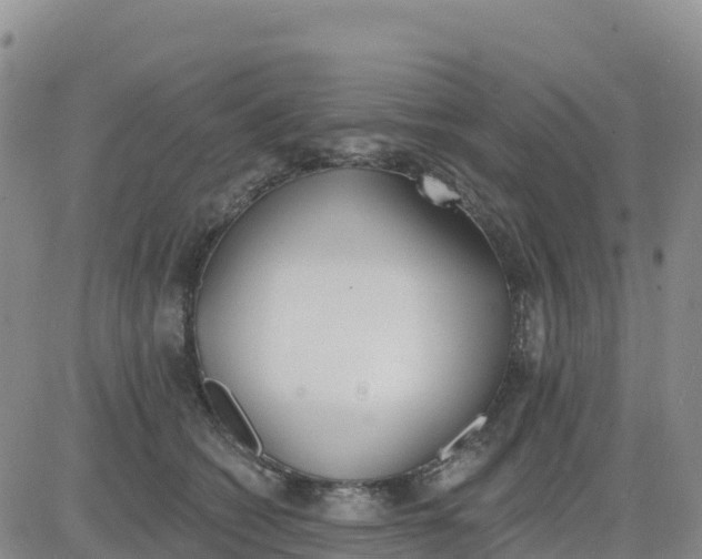 X0000080670562200612301403