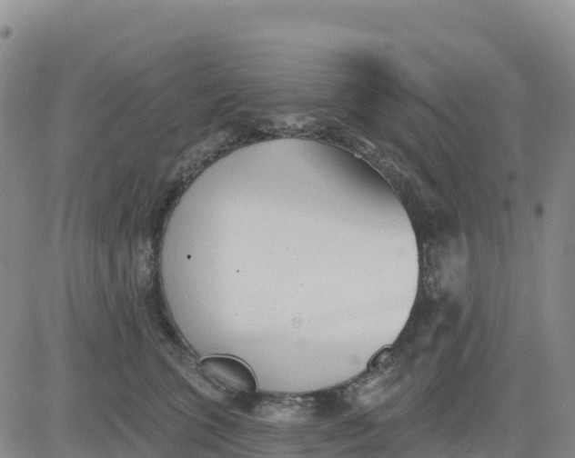 X0000080670563200612301403