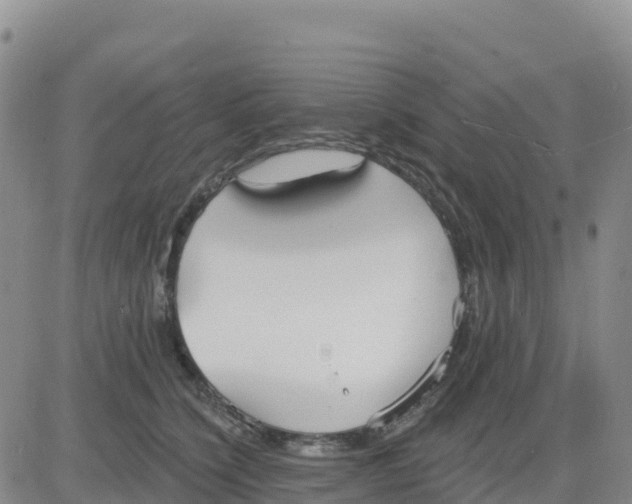 X0000080670564200612301403