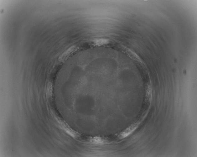 X0000080670565200612301403