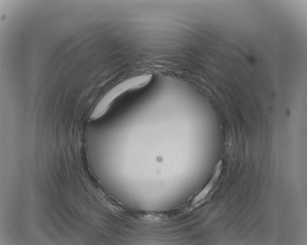 X0000080670566200612301403