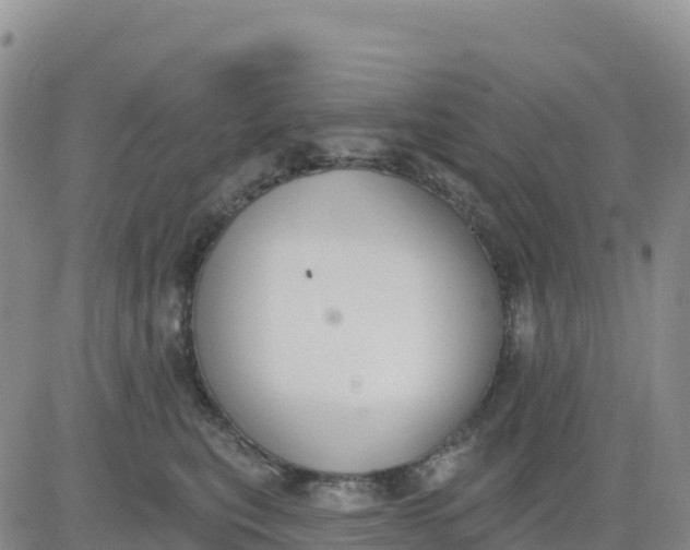 X0000080670567200612301403