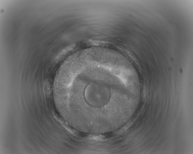 X0000080670569200612301403