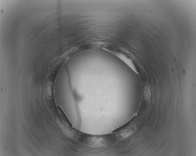 X0000080670570200612301403