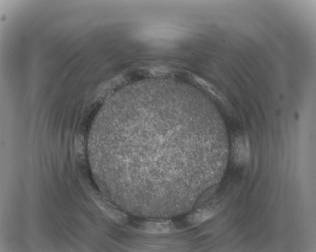 X0000080670571200612301403