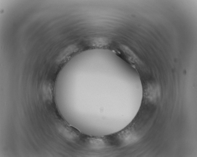 X0000080670572200612301403