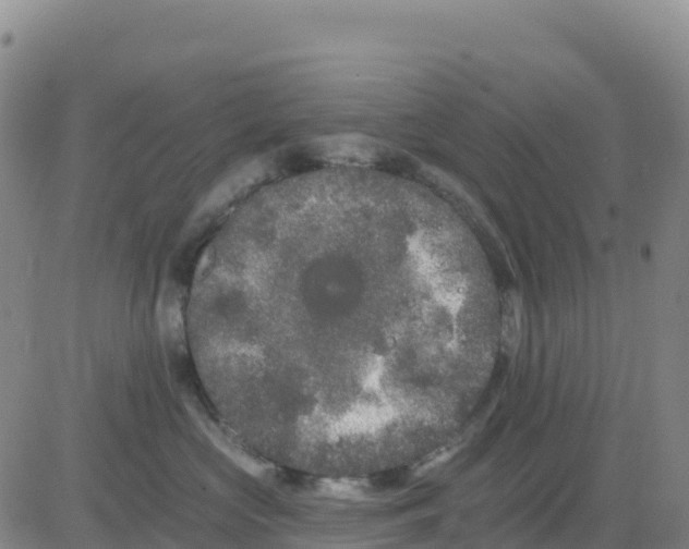 X0000080670573200612301403