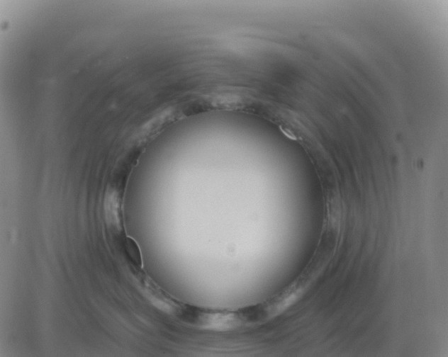 X0000080670575200612301403